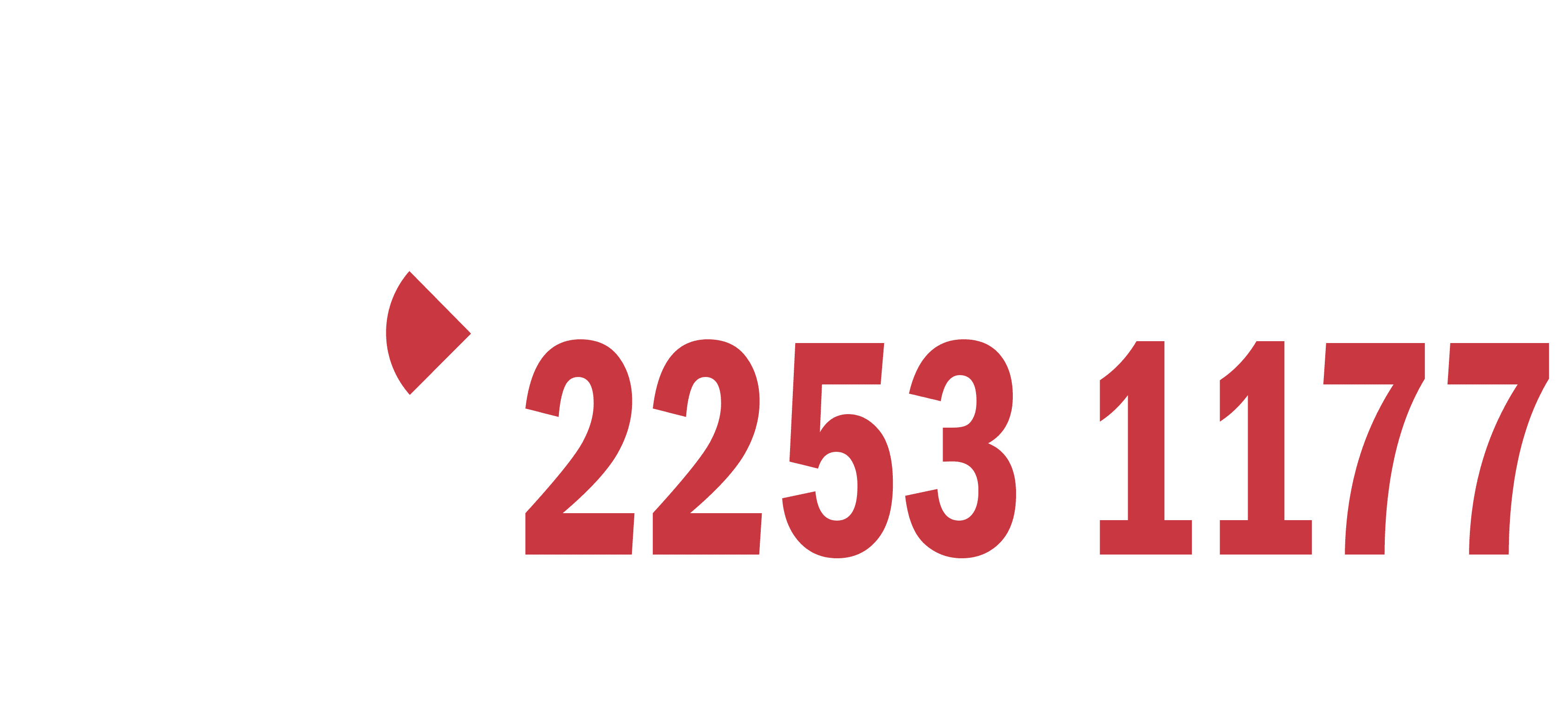 Logo Disque Denúncia, telefone: 2253 1177